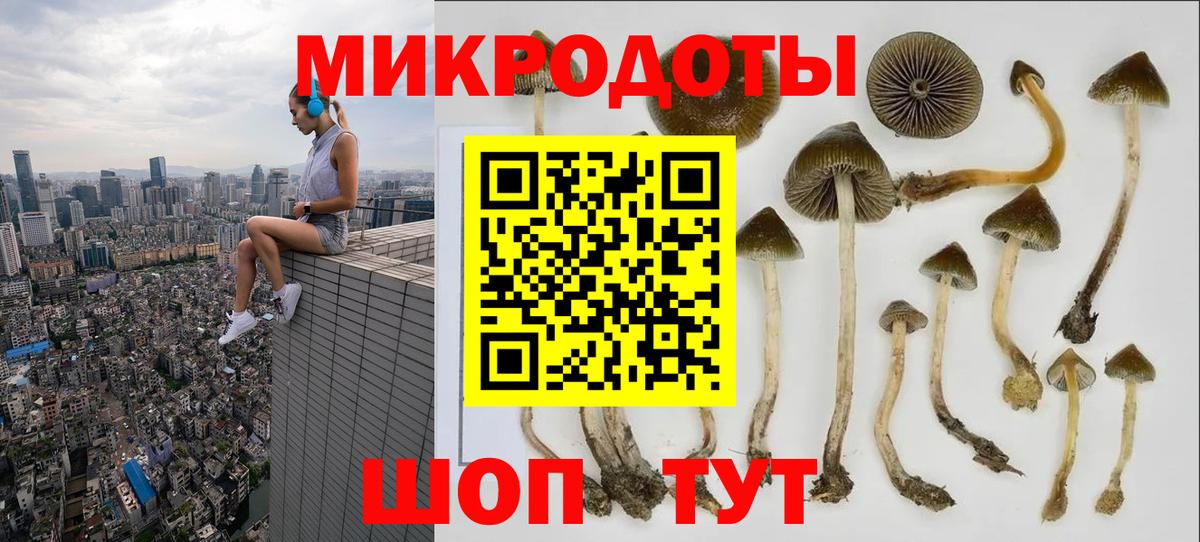 Зеленогорск  Псилоцибиновые грибы Magic Shrooms  Вход с VPN 